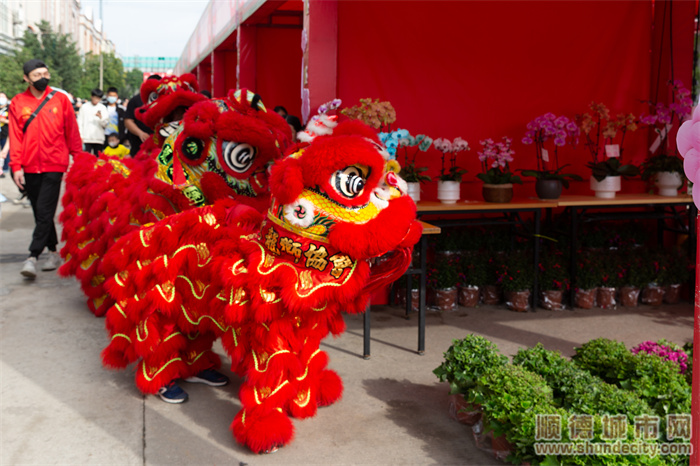 【视频】逛花街、买靓花、叹美食，容桂时光花市约定你！