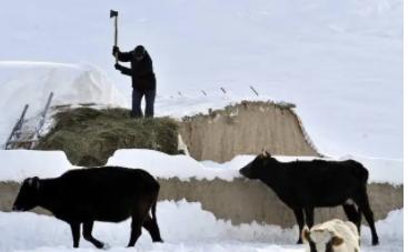 世界末日三大天灾,世界末日的7大灾难