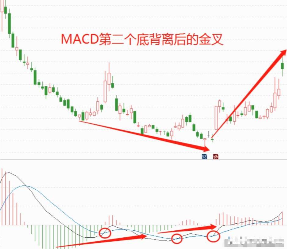股市如何从100万赚到1000万,股市中赚100万最笨的方法