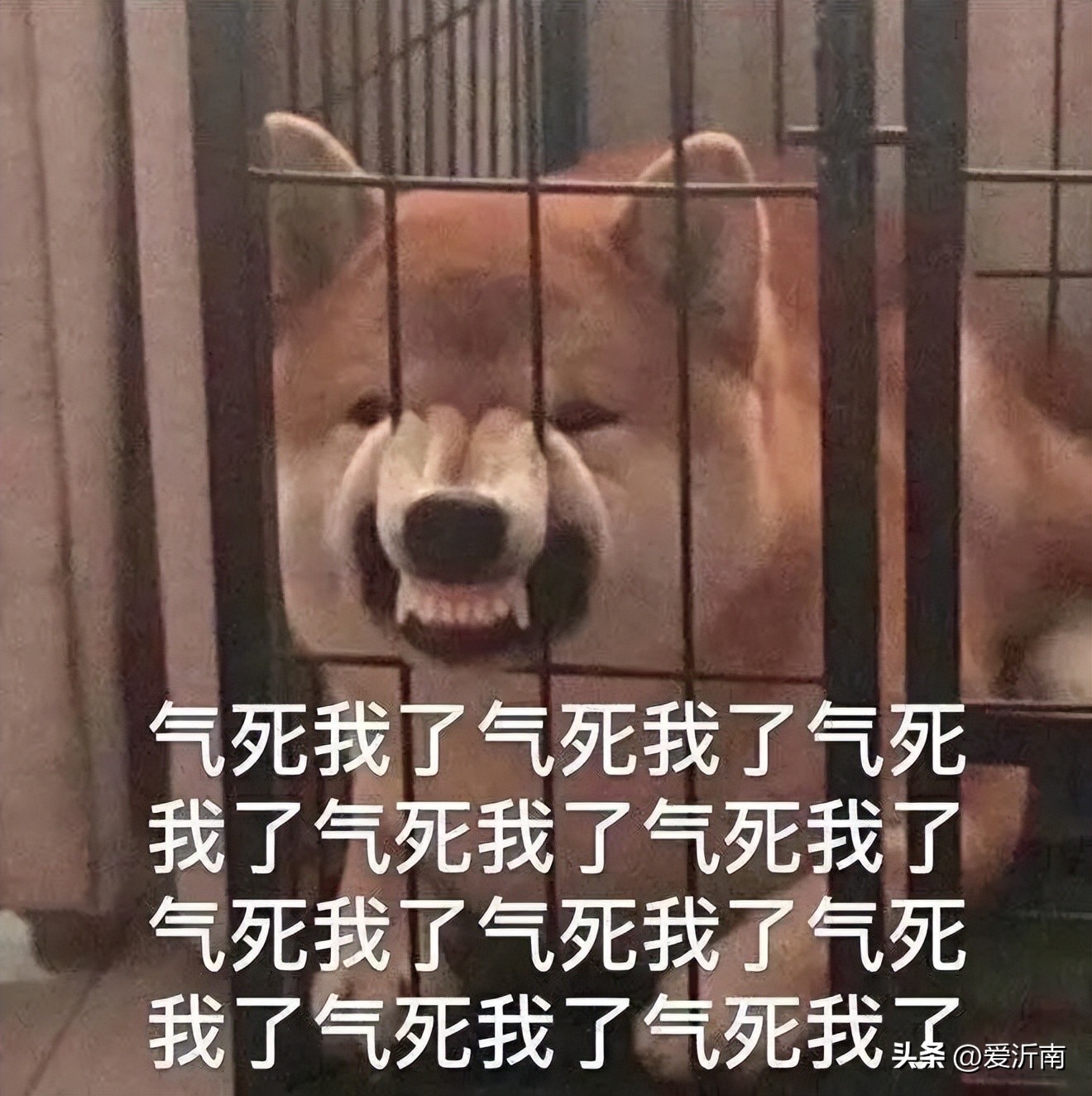 轮到这“国民饮料”被炒成网红，只卖1块钱照样被骂惨