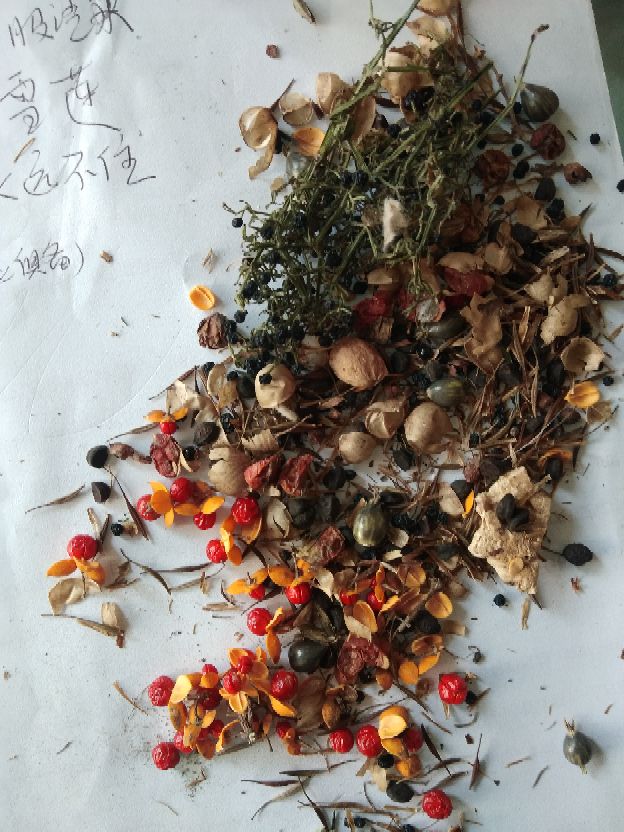 《她这样是嫌弃婆母吗》