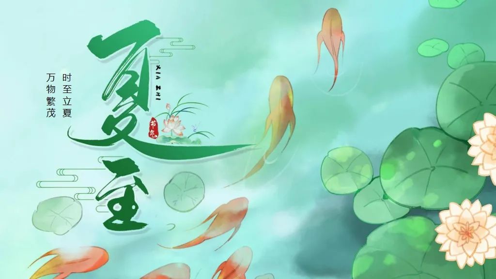 薄荷味的夏天ppt模板,夏至ppt免费模板