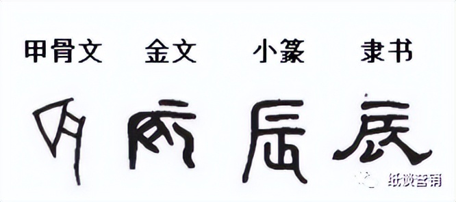 详解十二生肖中五行,详解十二地支所代表的含义