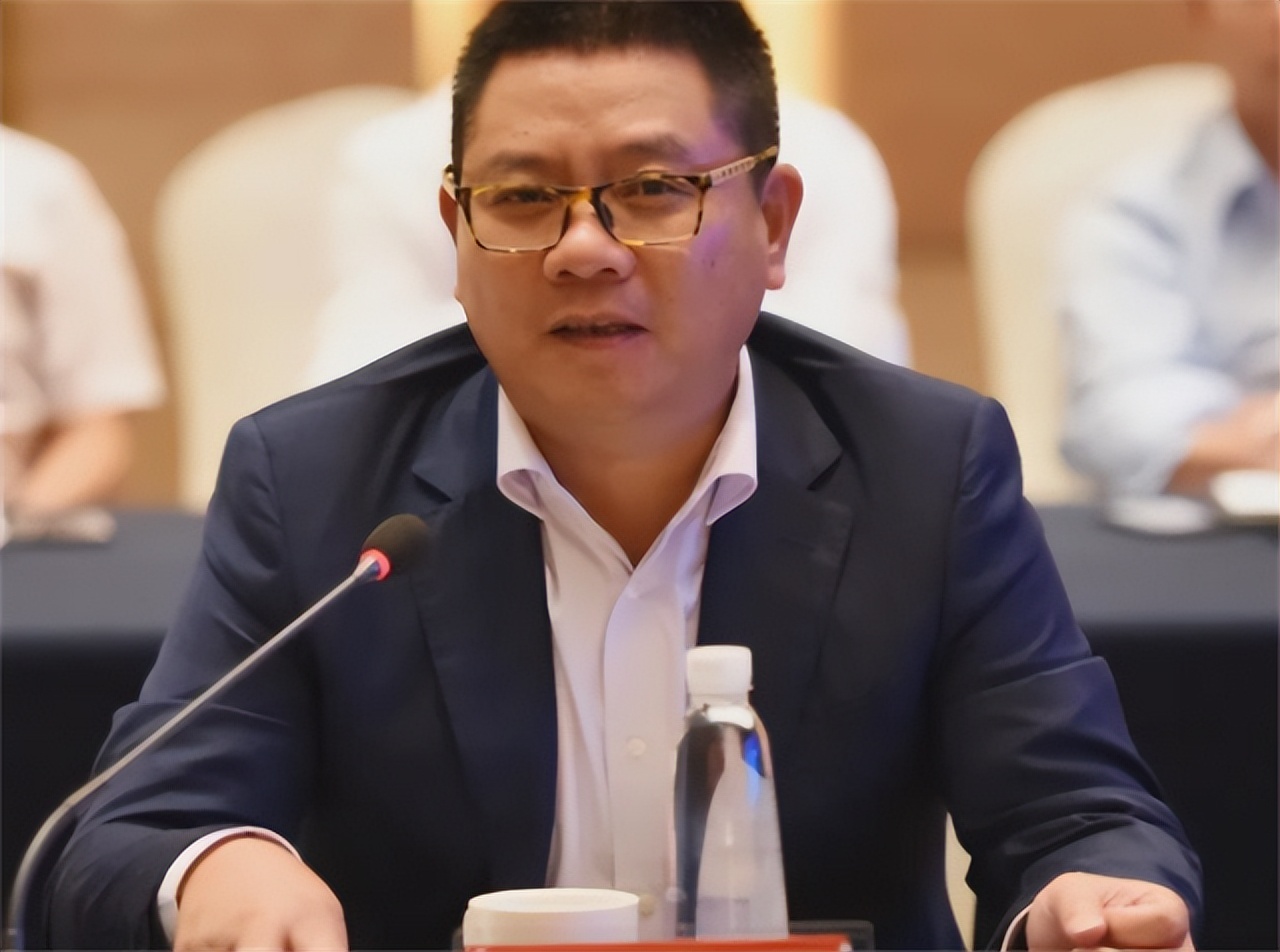 中国包机第一人王均瑶,中国富豪王均瑶