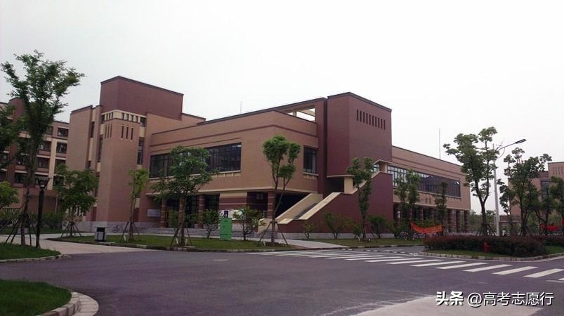 不起眼的本科大学,不起眼的高校