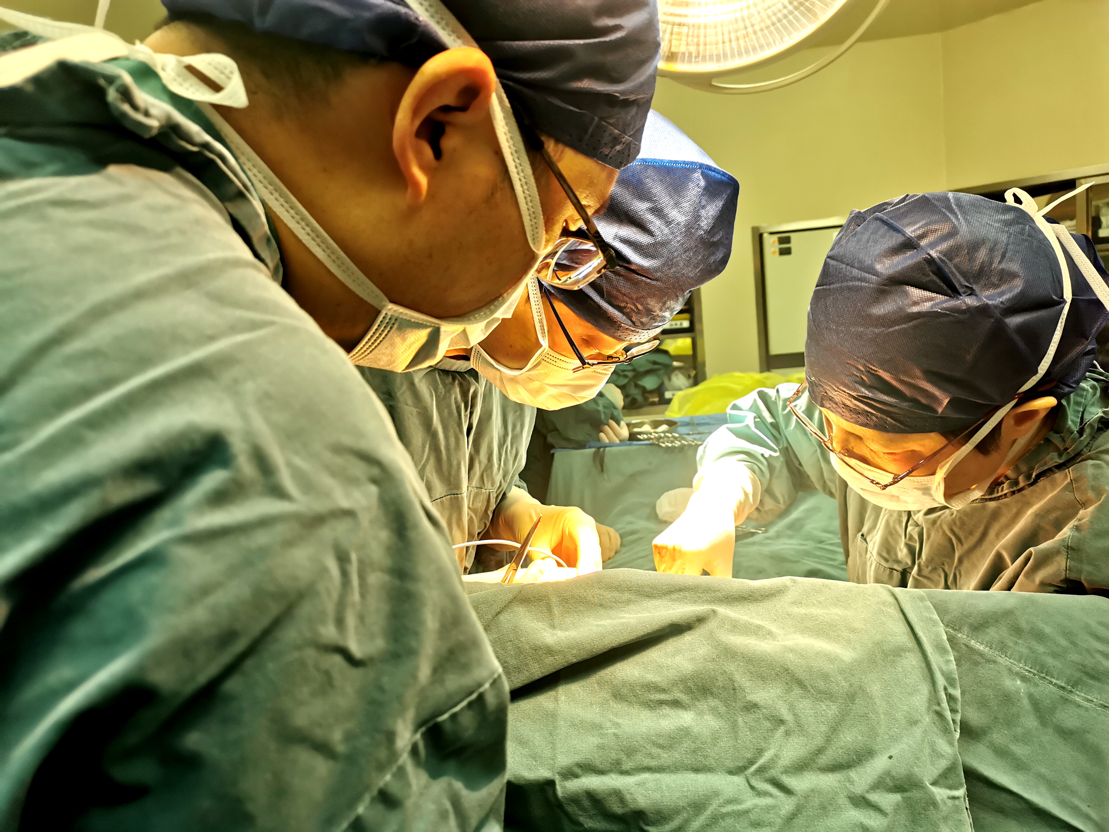 蚕豆根部有小瘤子,蚕豆形状结节