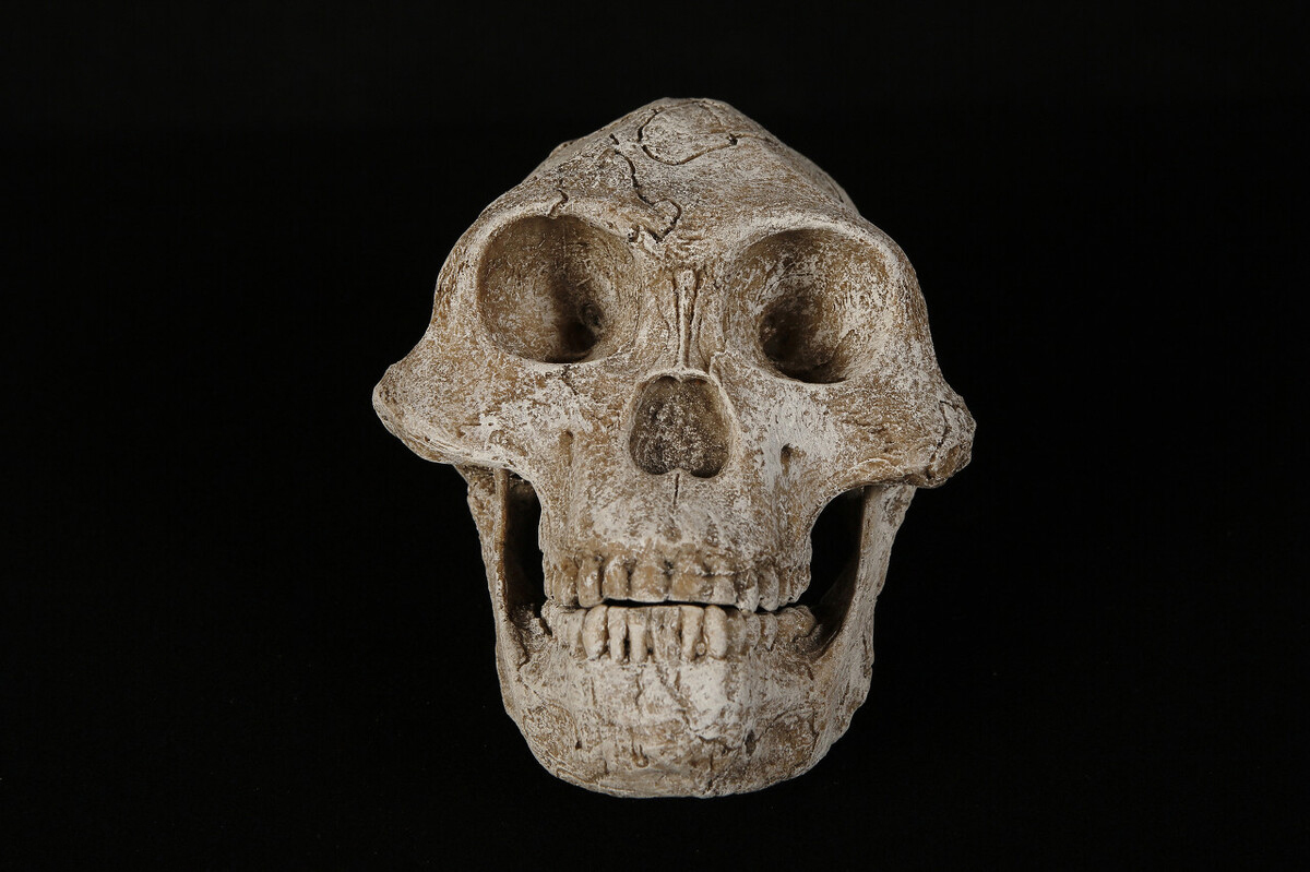 人类的稀有基因有哪些特点,人类隐藏了最稀少的基因