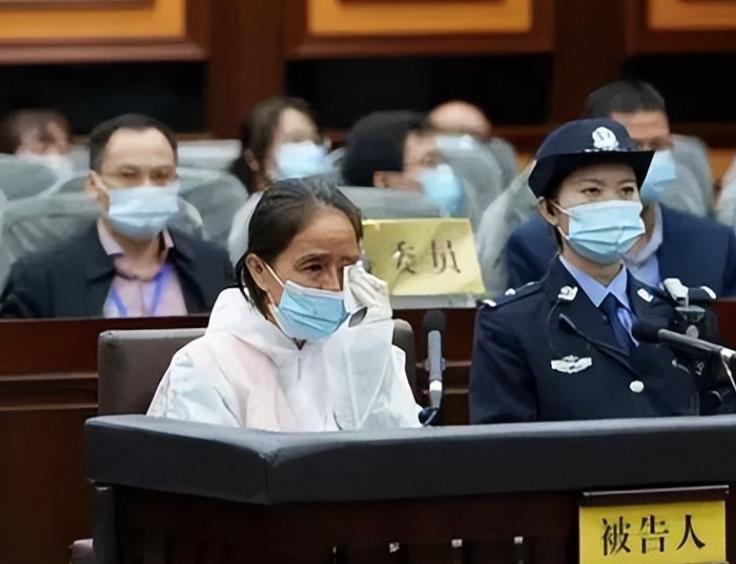 广西“女色虎”赵丽：强迫司机发生关系6年，疯狂敛财1344万