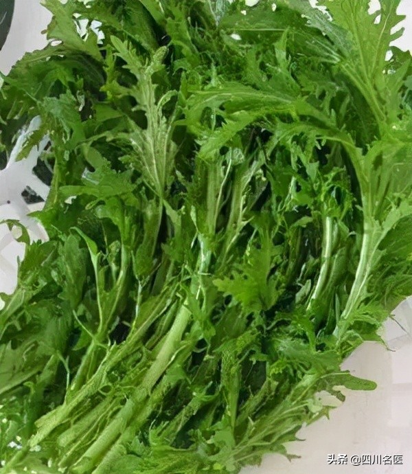 钙比牛奶还高的5种蔬菜,牛奶和青菜哪个补钙效果更好