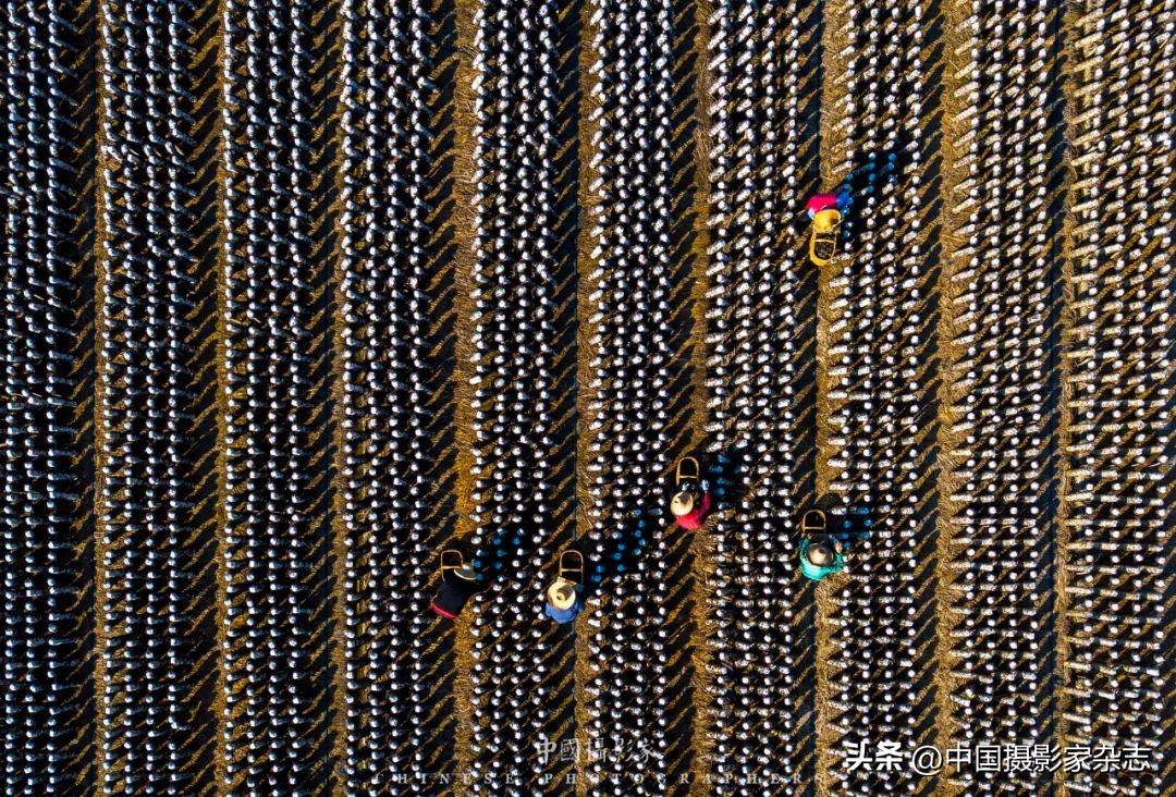 新时代新风尚摄影作品,新时代新风尚书画展