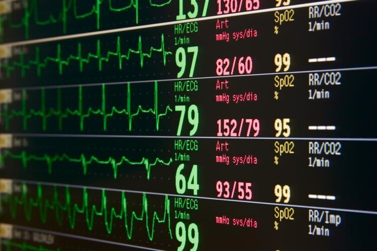 心跳快和心跳慢有什么区别吗,心跳少与心跳快寿命关系