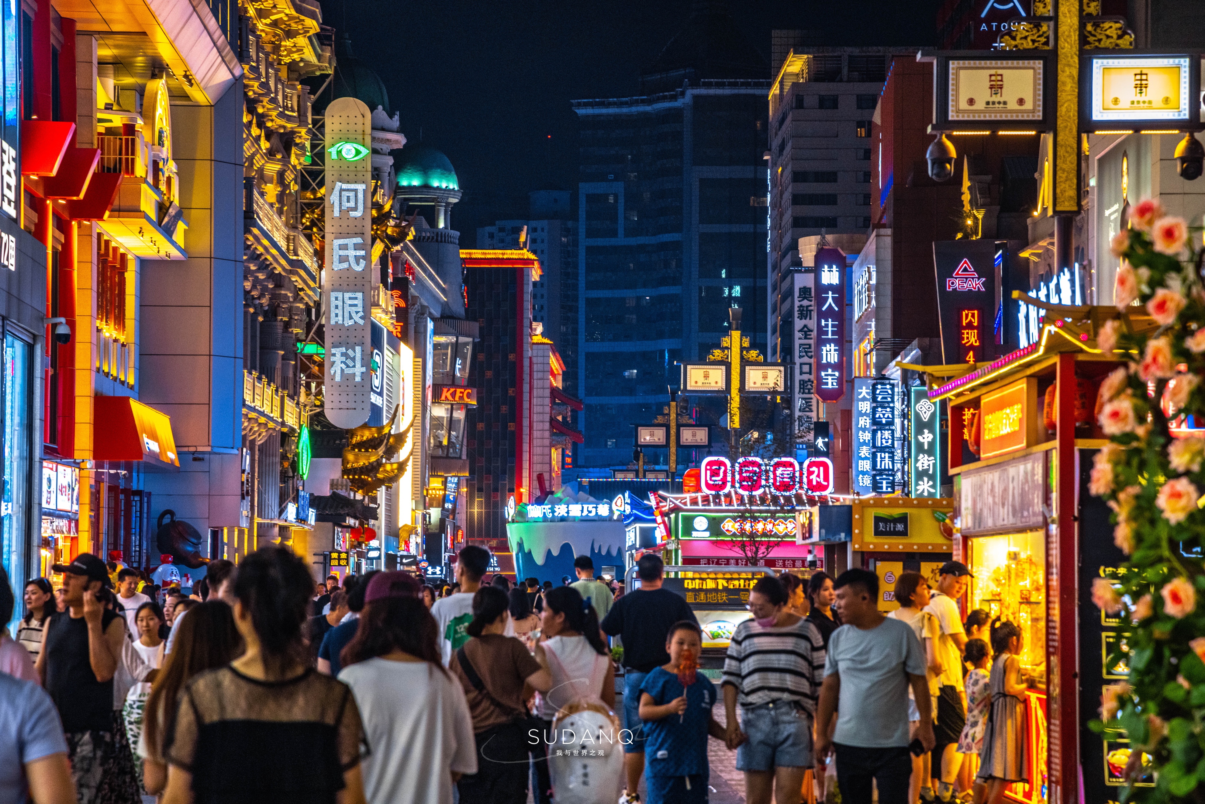 沈阳最发达的区,沈阳东北实力第一城