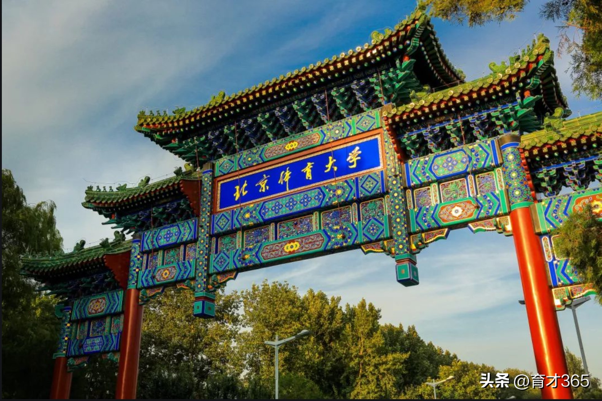 北京体育大学211录取分数线,北京体育大学211分数线