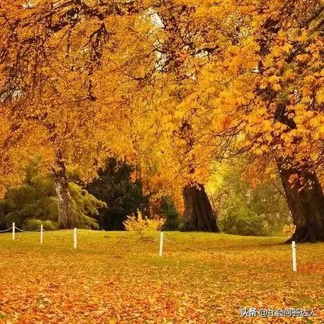 50岁快到了怎样申请退休金,50岁还没有养老金怎么办