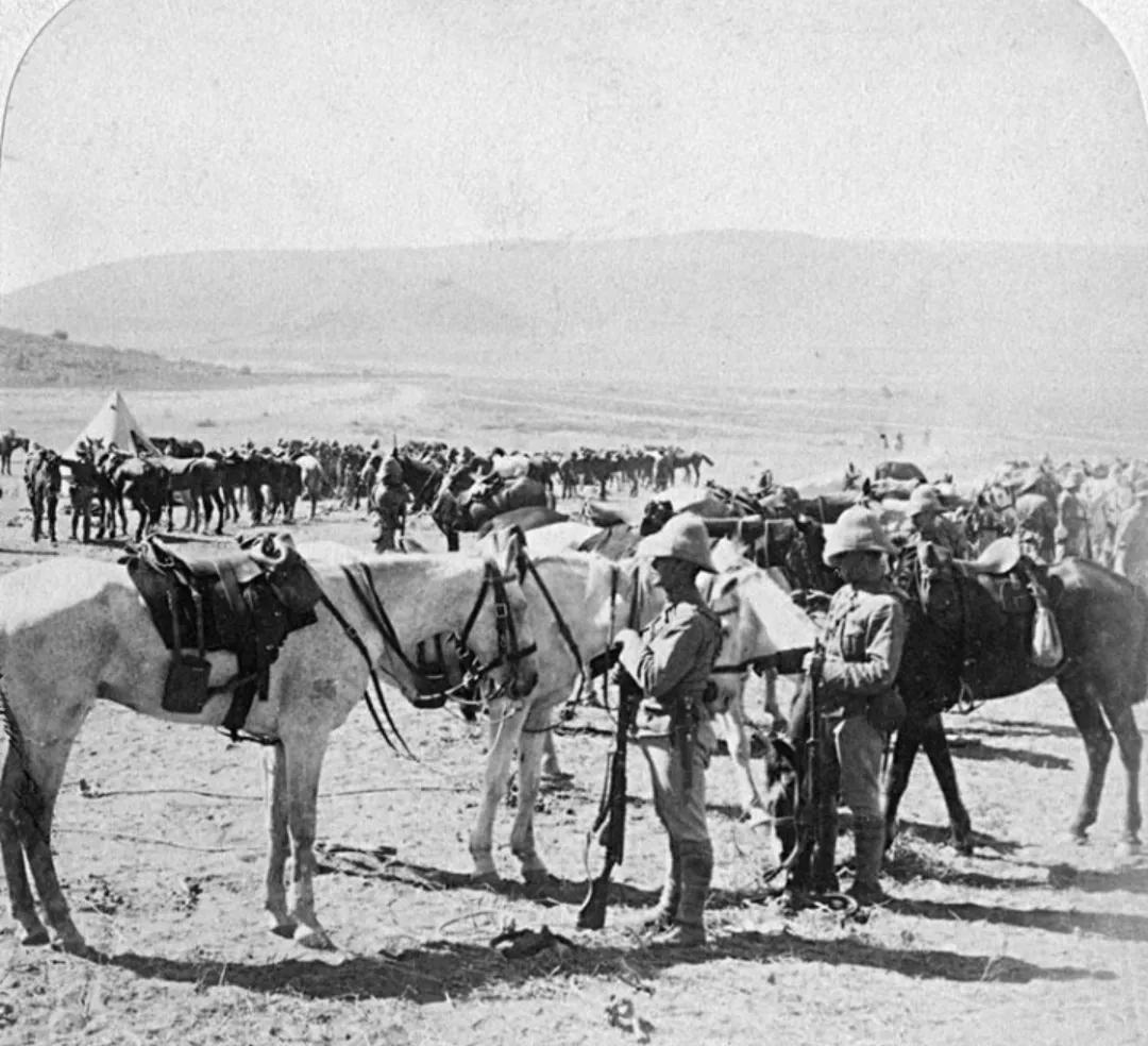 一口气澳大利亚历史,澳大利亚历史深度解读