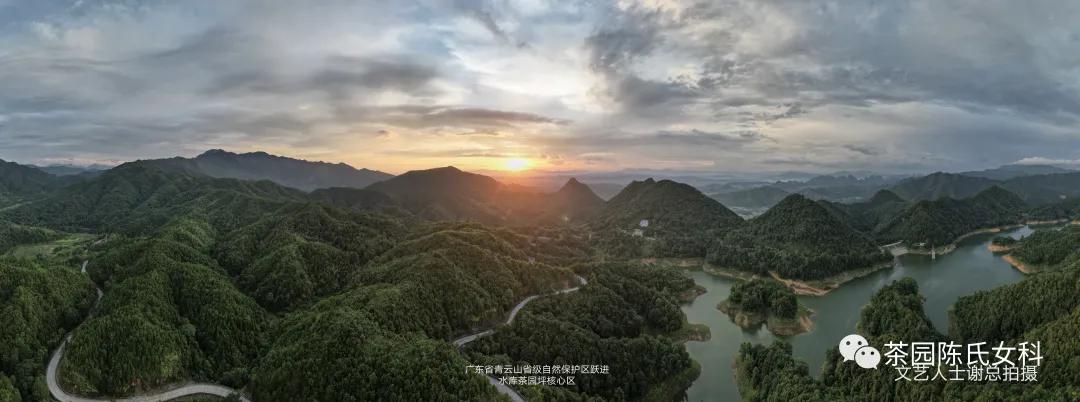 中医所有的妇科疾病都能看吗,看妇科最厉害的中医有哪些