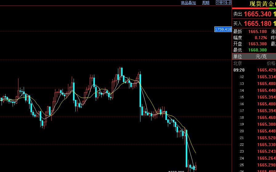 王京文最新作品,黄金美元投资深度解析与趋势分析