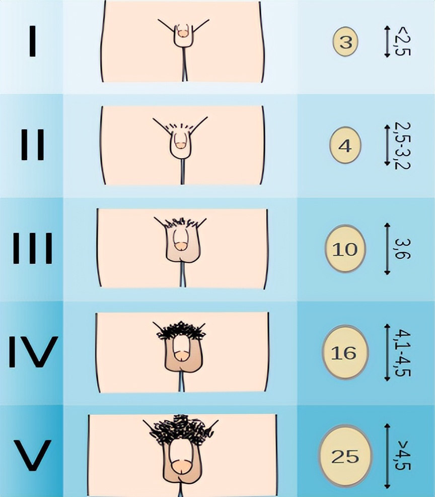 男性青春发育迟缓的表现,生长迟缓的烦恼