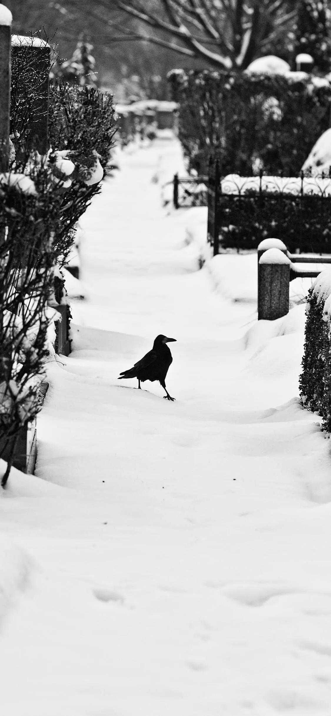 你知道密集恐惧症是什么吗,身体上的密集恐惧症