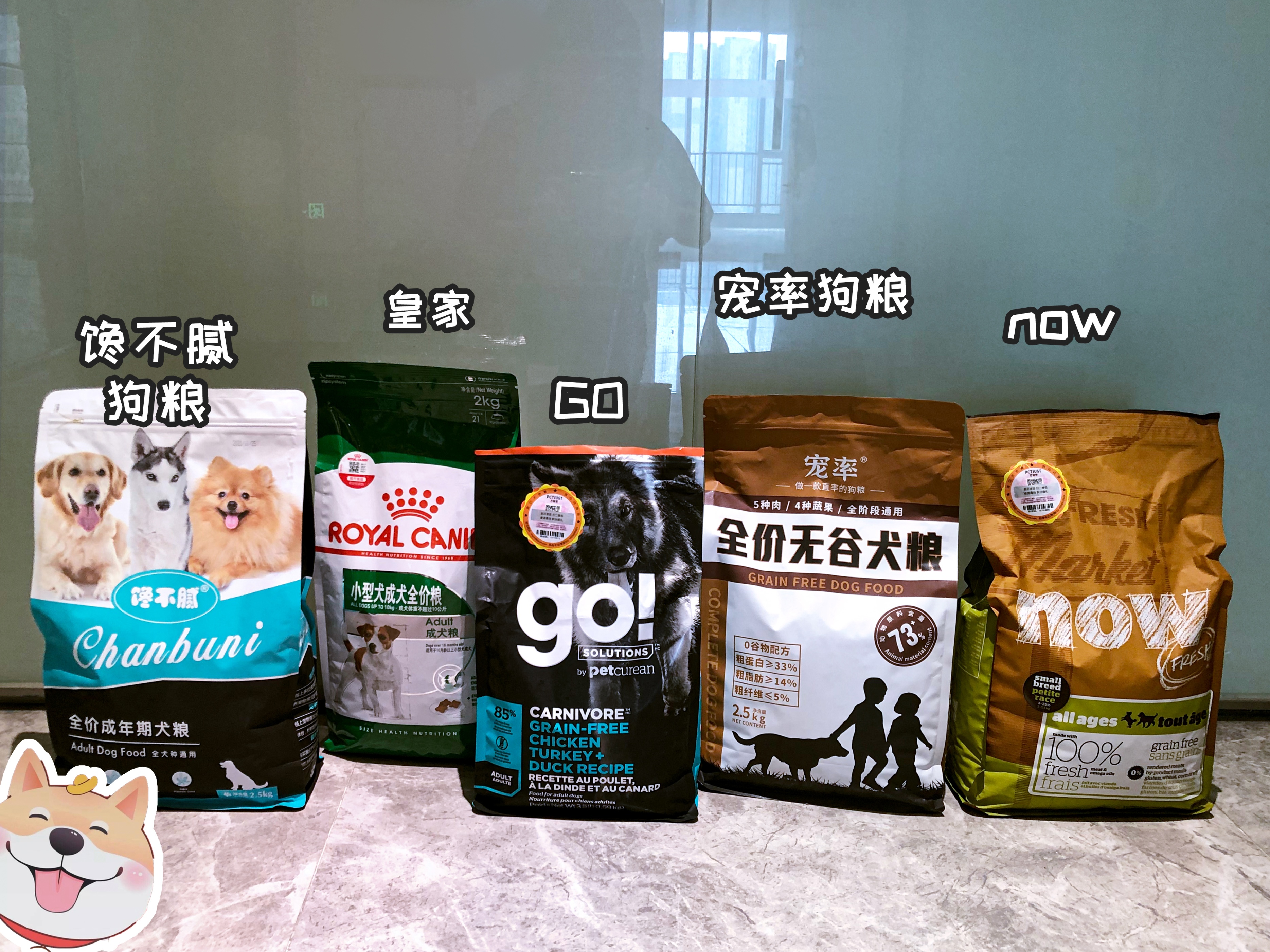 网友告诉你，让狗狗上床睡觉，会有这些后果