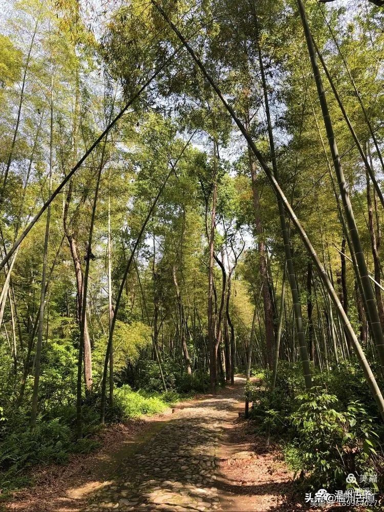 楠溪江哪里人少好玩,楠溪江风景最好的地方