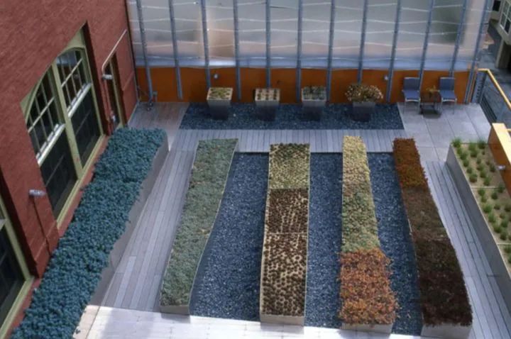 风景园林专硕设计方向可调剂专业,风景园林设计专业就业前景怎么样