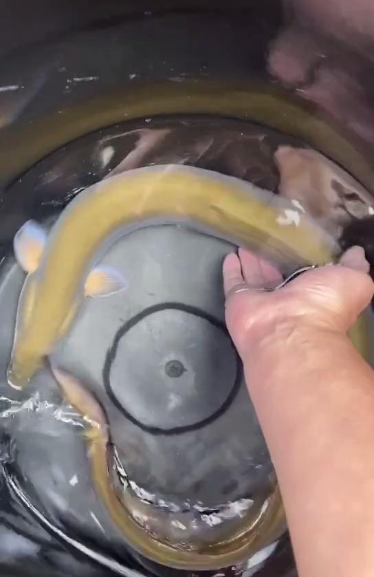 骞胯タ鐢峰瓙閽撲笂鎬奔,骞夸笢鐢峰瓙鍦ㄤ笢姹熼挀璧风綍瑙侀奔