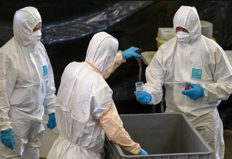 福岛厕所便池藏尸案真相,福岛女便池藏尸案