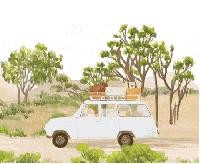 斯里兰卡入境新政策,斯里兰卡旅游入境政策