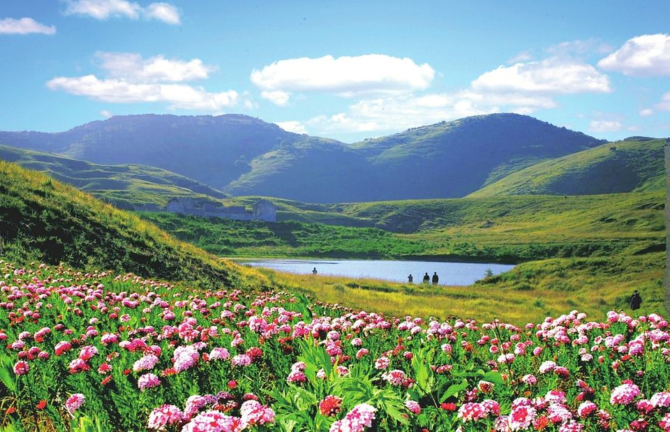 王莽岭避暑的好地方,王莽岭避暑怎么样