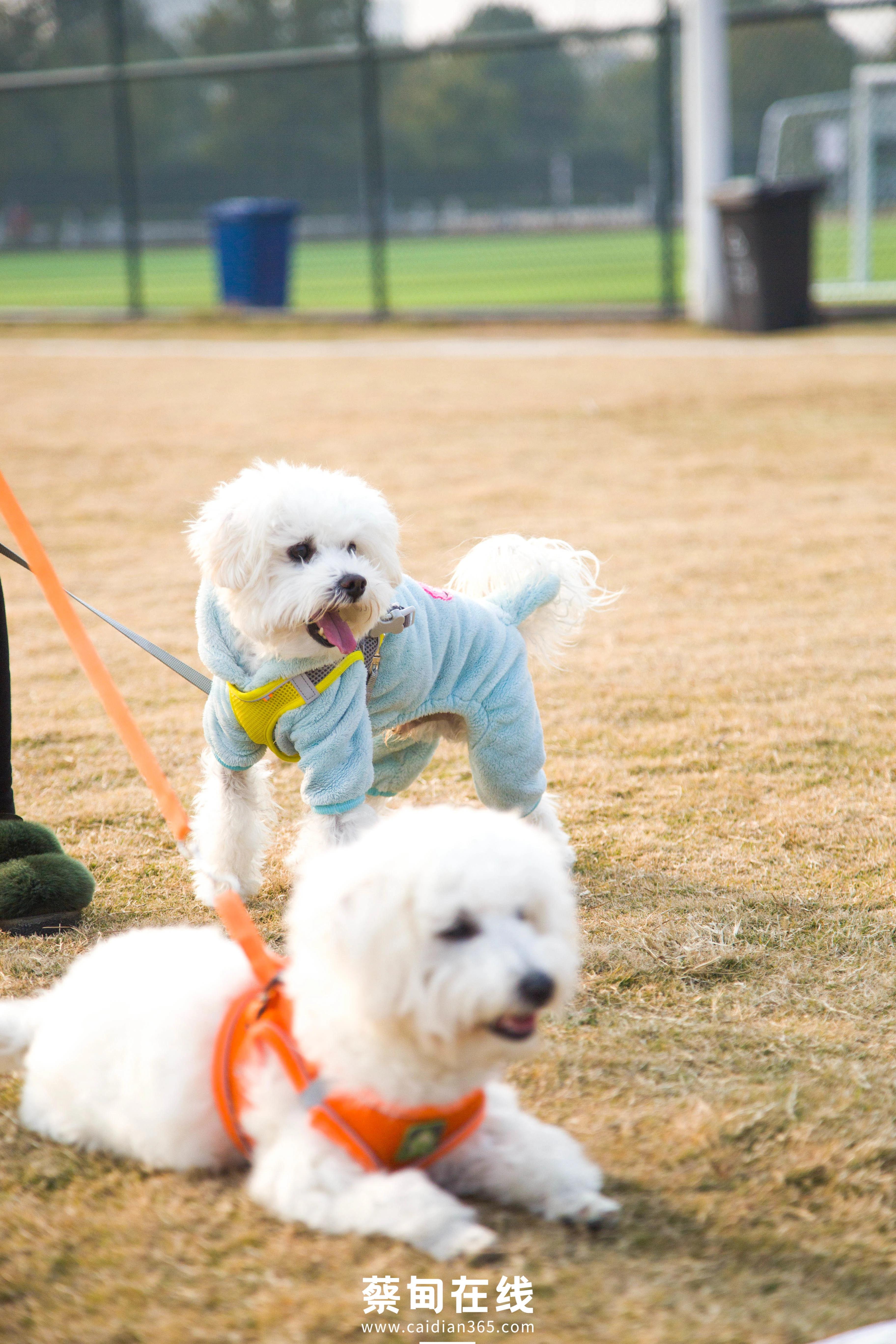 武汉气温回升,武汉气温回暖最新消息