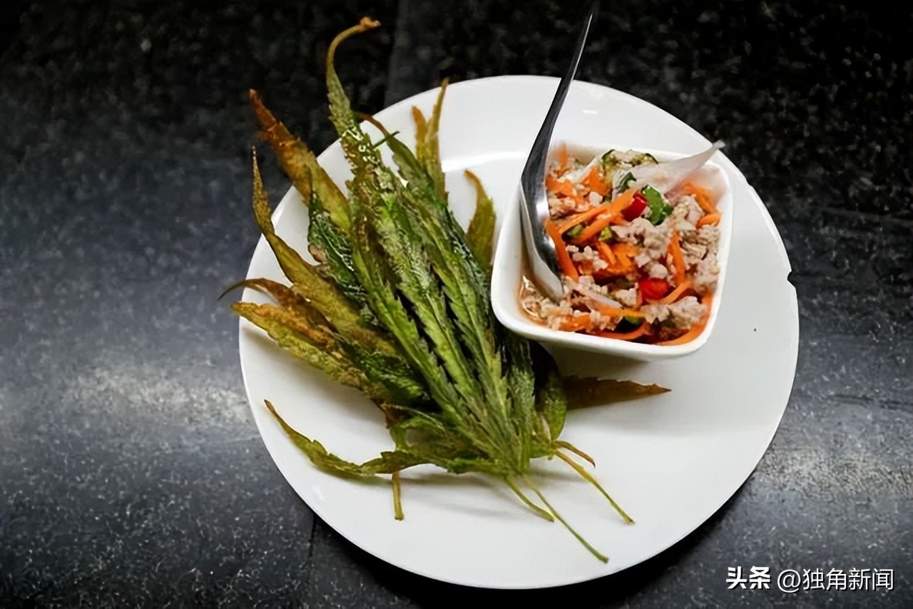 泰国旅游禁止入境吗最新消息,泰国大麻合法化对中国的影响分析