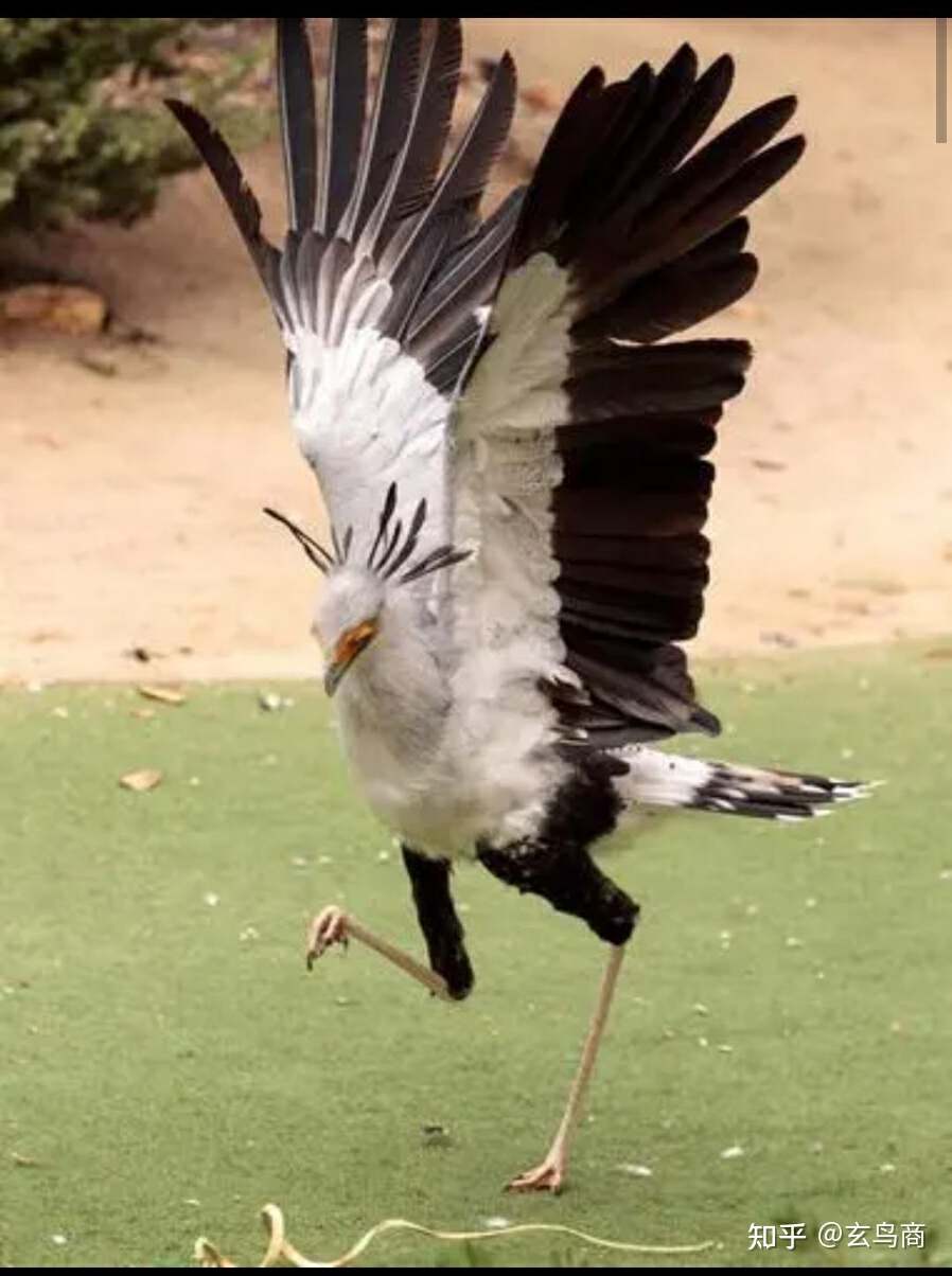 山海经2012白话全译彩图版pdf,山海经海外西经是指哪里