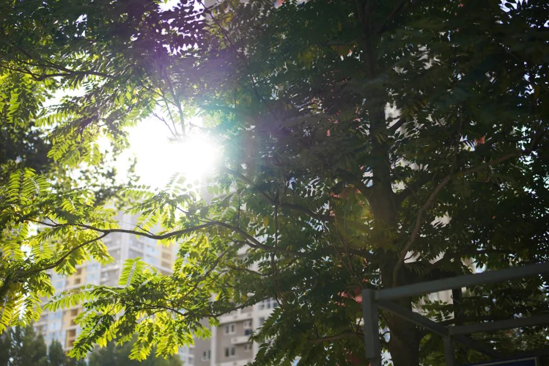 森养af35mmf18fe开箱体验,森养50mmf1.4二代锐度