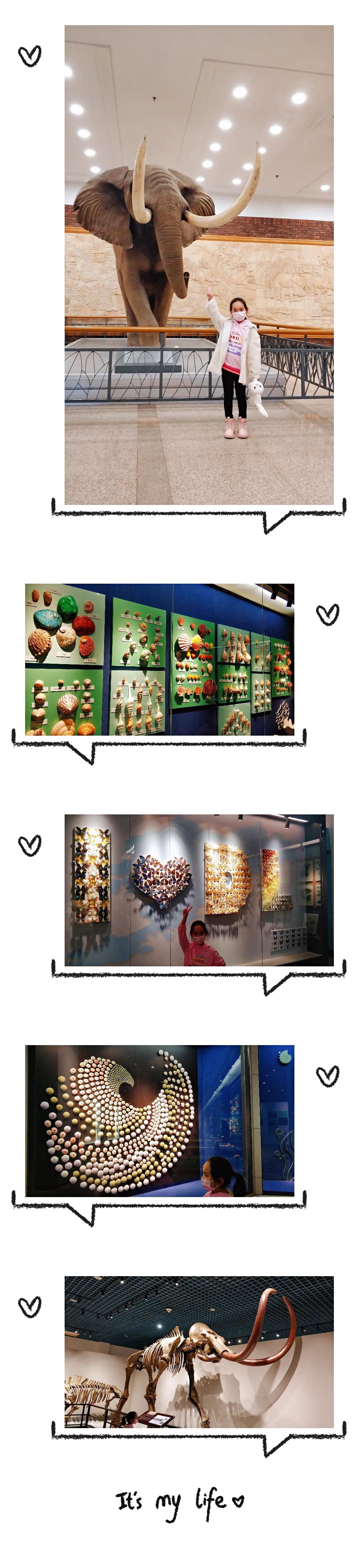 双层观光巴士游攻略,自在旅游双层巴士旅游详细攻略