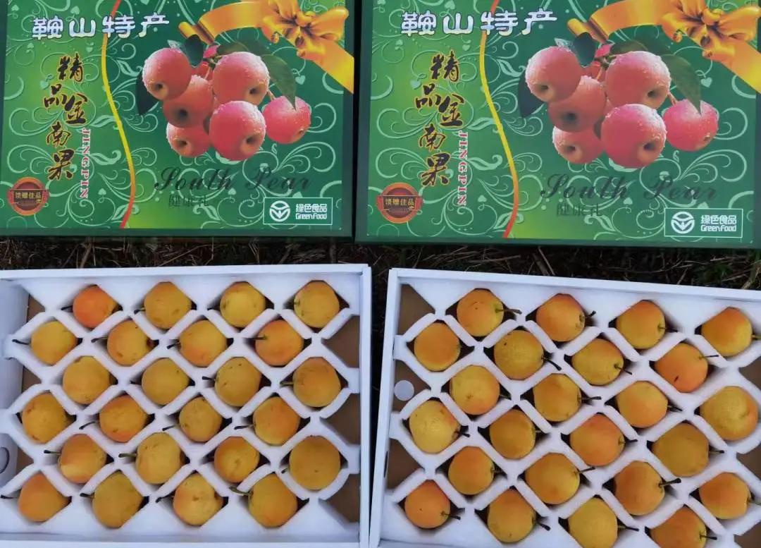 新年文旅大礼包,喜迎新春送豪礼活动