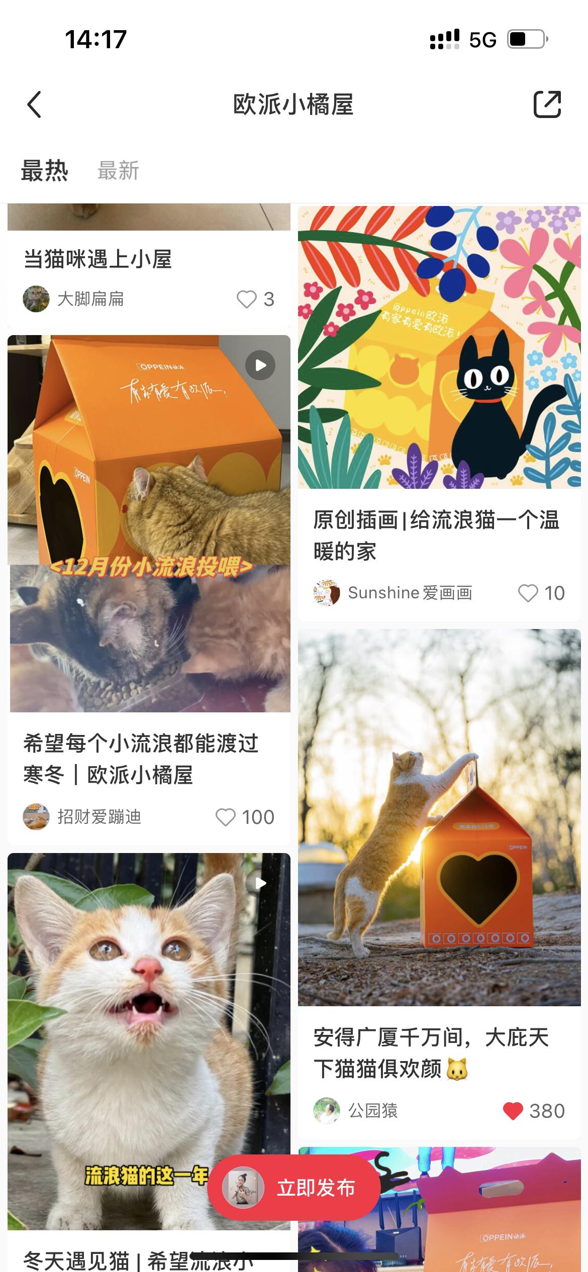 为爱定制一个家,为流浪猫爱心筹款