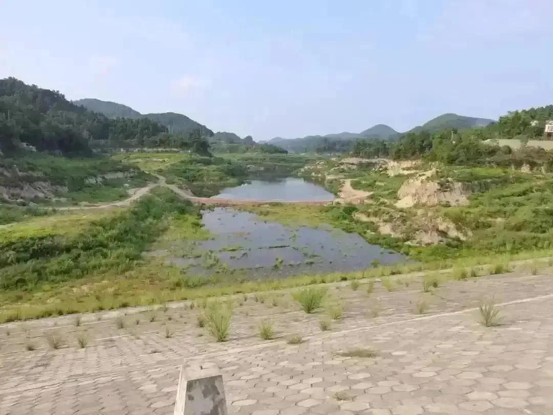 创业计划书项目,创业计划书完整版免费