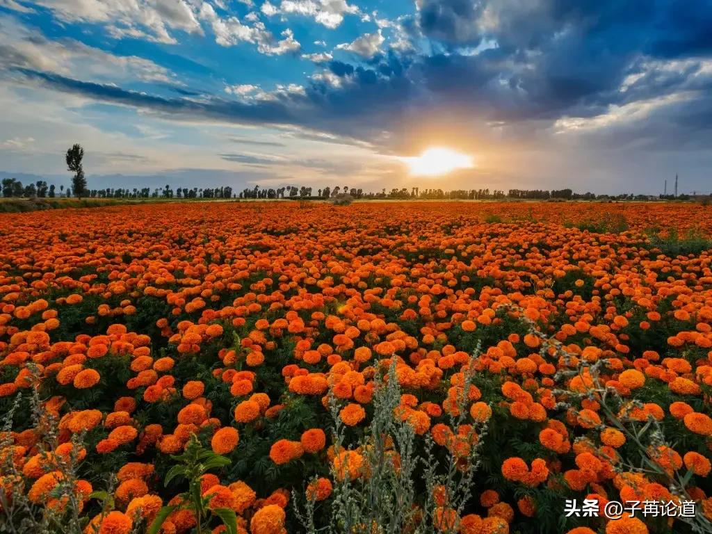 你怎么争也争不过天小视频,你怎么争都争不过天道