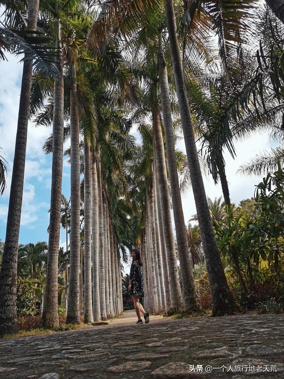 冲野浪、喝咖啡，比三亚便宜一半的海岛度假地，后悔没有早点知道