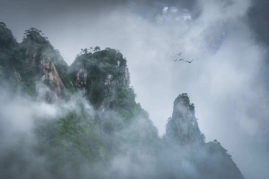 全球学子嘉游赣活动,来大美上饶趣游一夏门票