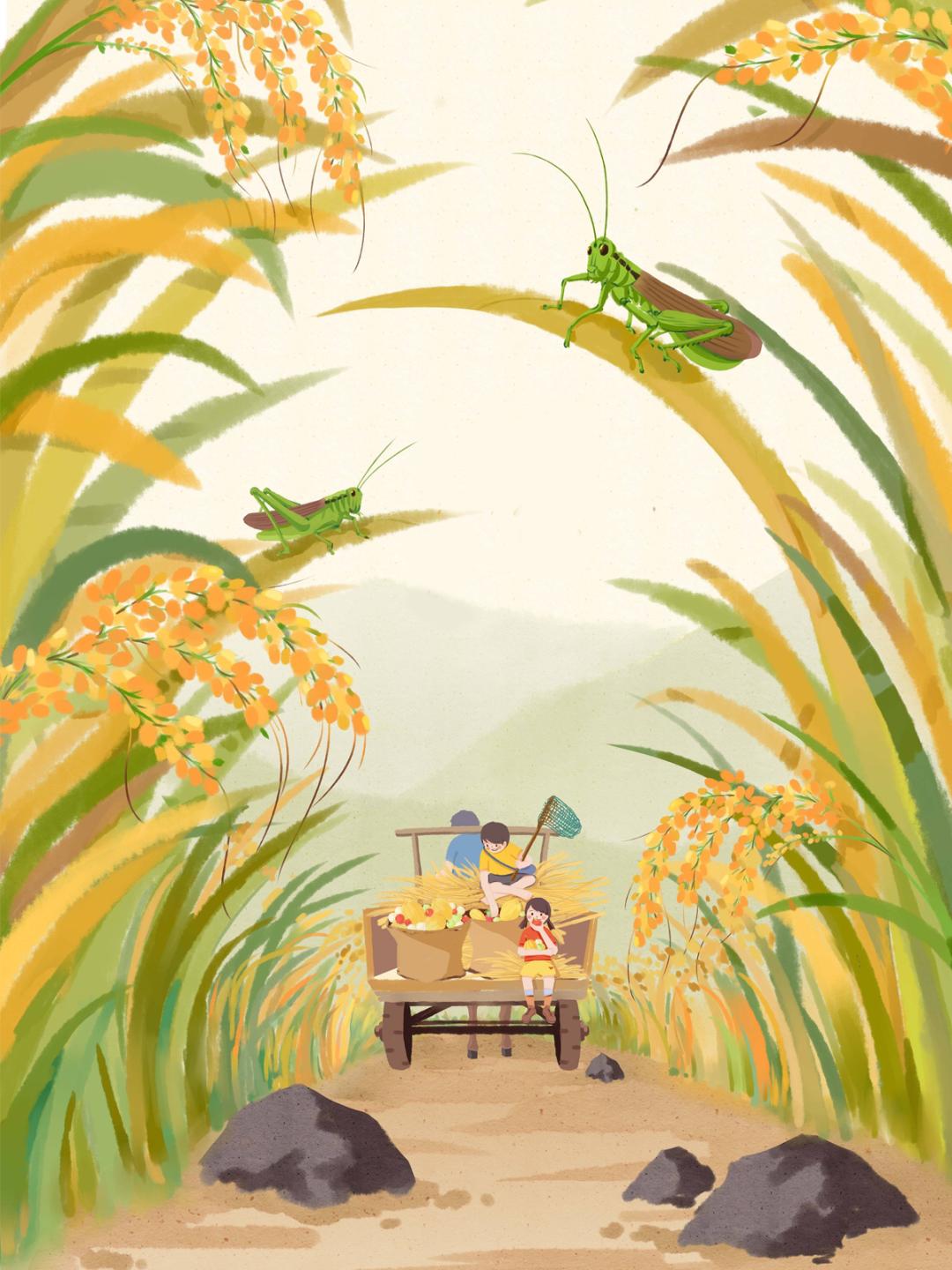 岁华过半休却对西风贺立秋解释,岁华过半休惆怅且对西风贺立秋