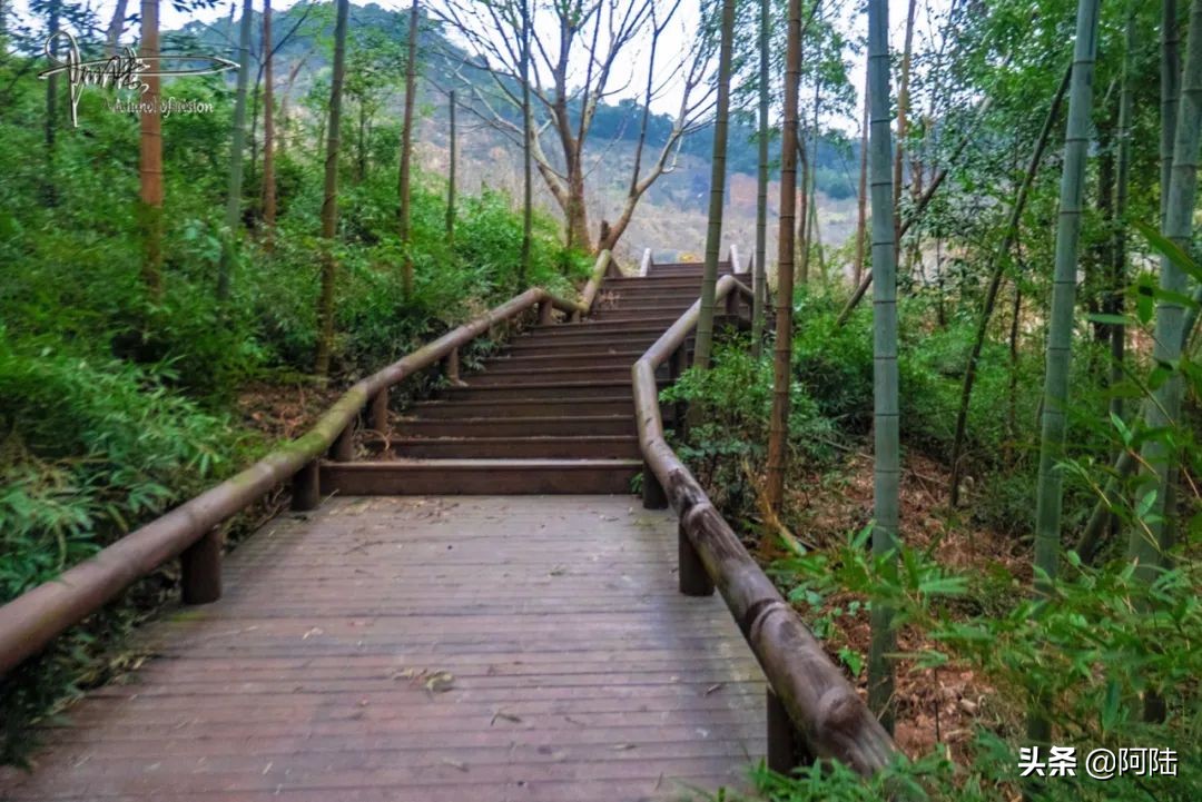 皋亭山景区有庙吗,皋亭山风景区是如何建成的