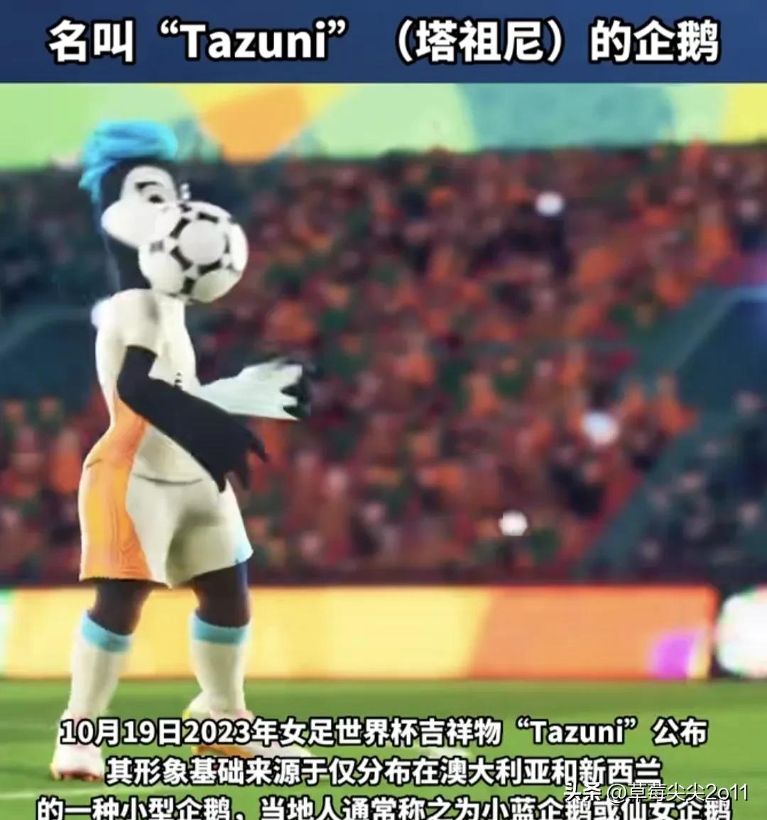 2023年女足世界杯吉祥物来了！吉祥物是只企鹅，名叫塔祖尼的企鹅