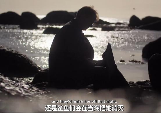 这个男人太大胆，因为夫妻不和谐，转身就爱上了一条章鱼！纪录片