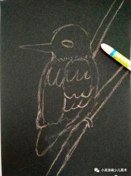 翠鸟生活环境,翠鸟育雏全集完整版