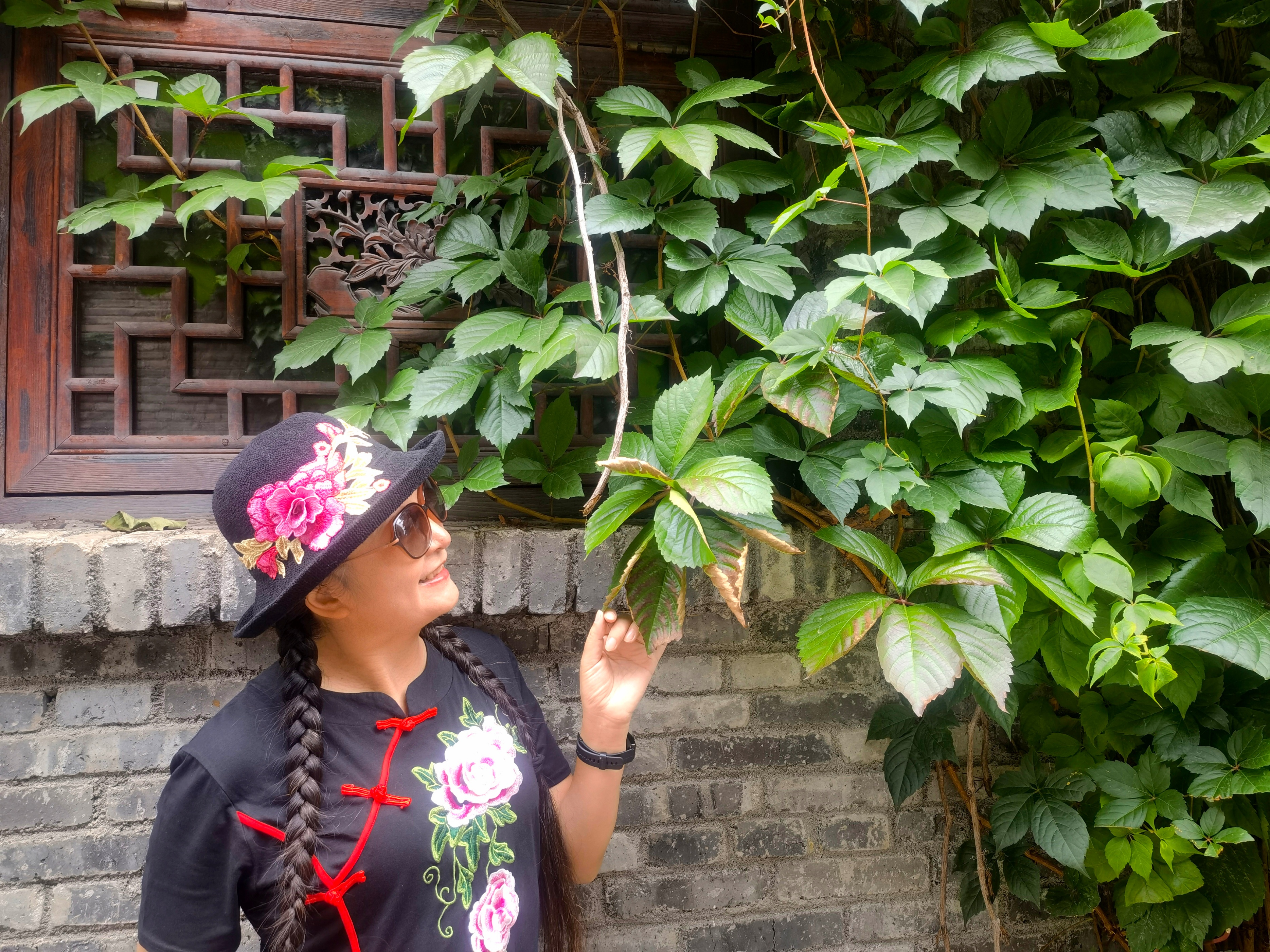 六盘水19度夏天,19度的夏天六盘水