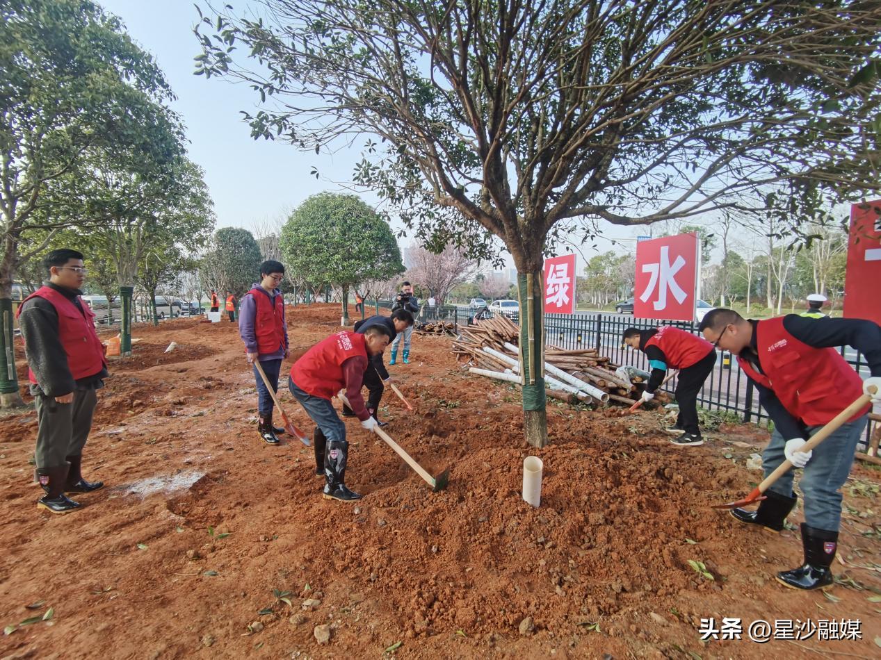 长沙县林业局和林业事务中心,长沙县林业事务中心