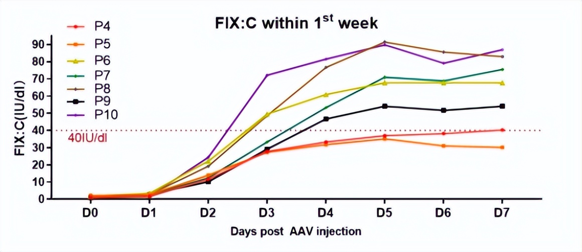 中国医学杂志柳叶刀发布文章,血管性血友病的基因治疗最新进展