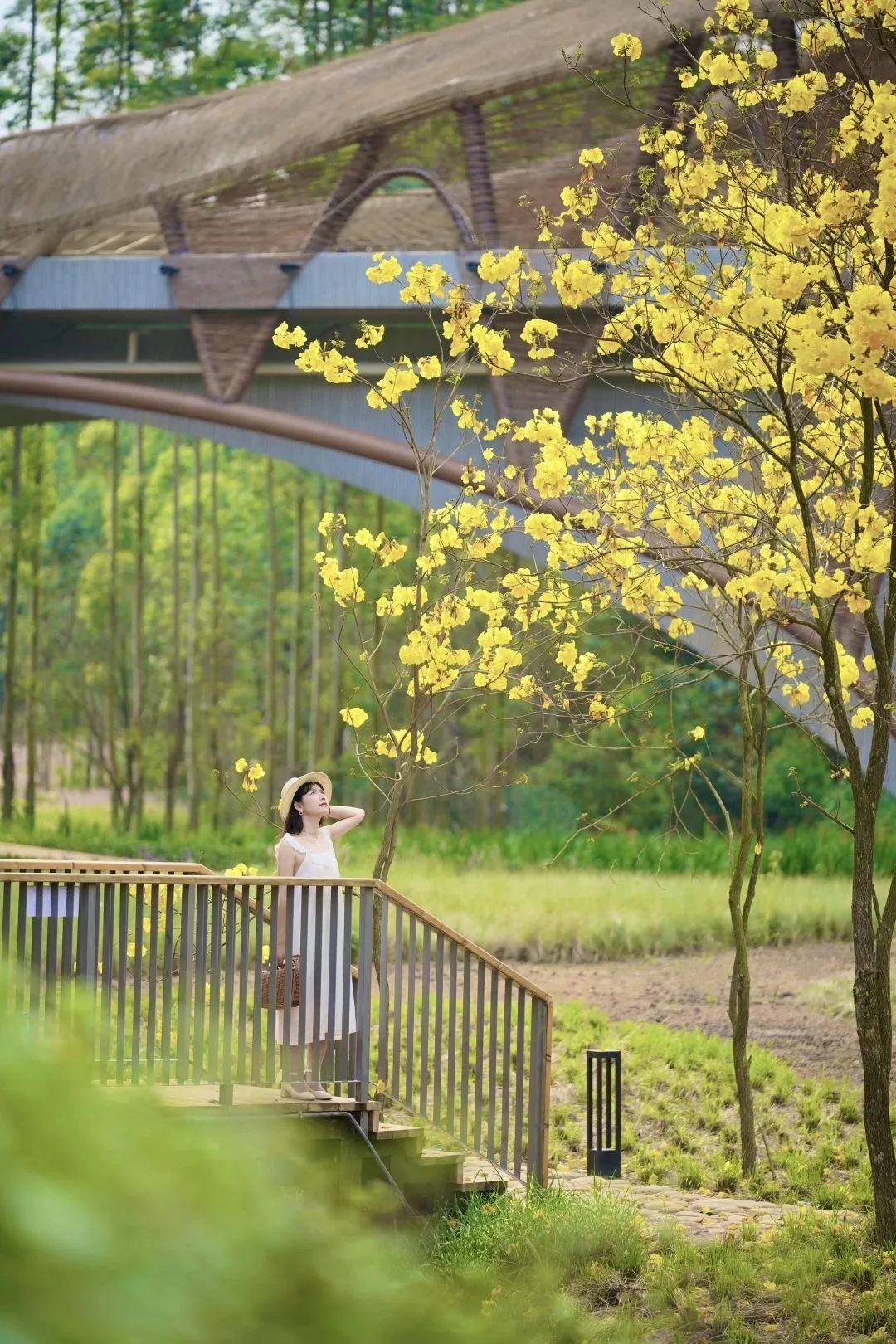 两人从化两天一夜游玩攻略,去从化玩的攻略